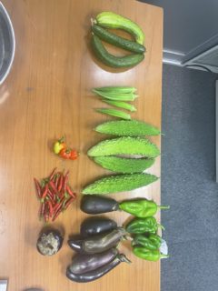 野菜収穫 Part1